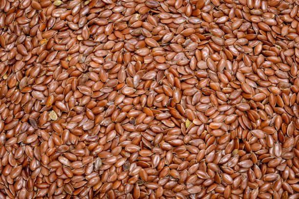 sementes de linho marrom papel de parede de linhaça - flax seed - fotografias e filmes do acervo