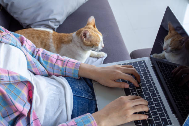 istock hand work on laptop at home.  Freelance woman work at home. Work from home concept 1488066879