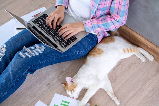 istock Female students study online with video calls on their laptops at home. study from home Keep social spacing to prevent the spread of the Covid-19 virus. 1488066880