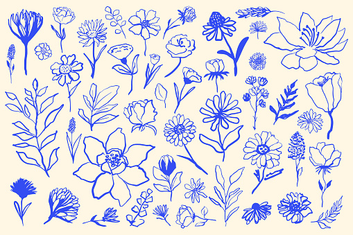 Hand drawn ink various flowers set,vector simple minimalistic illustration.
