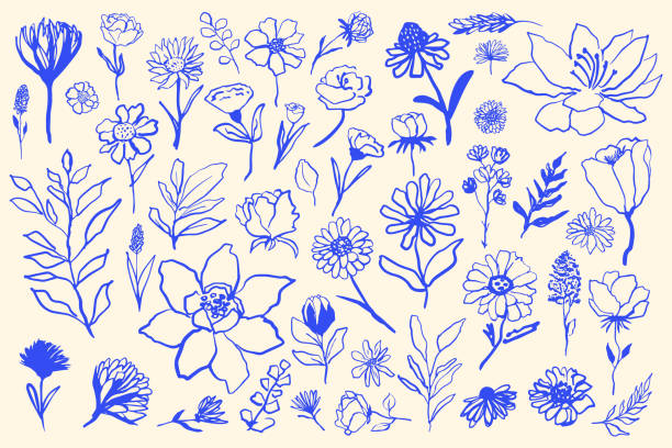 Set various simple flowers in hand drawn style vector. Hand drawn ink various flowers set,vector simple minimalistic illustration. pen and ink stock illustrations