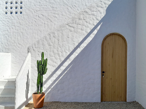 Santorini style architecture with plant door