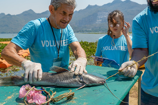 team of volunteers rescues the fish by pulling trash out of its mouth, impact of plastic pollution in ocean, waterway, sea habitat and marine life, waste management can protect the environment