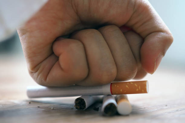 istock Hand smashed cigarettes The concept of smoking causes lung cancer. Just say no 1488073237