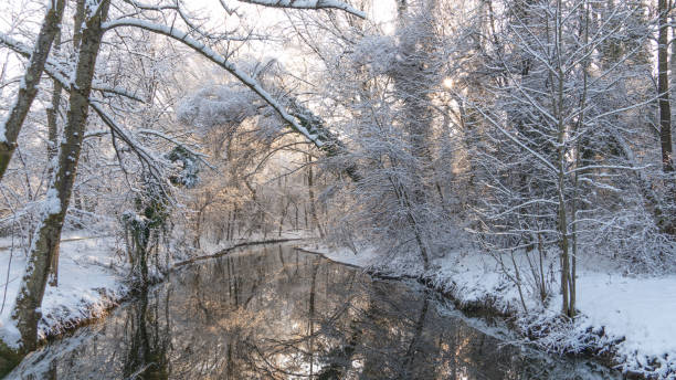 istock A stream flowing through a snowy forest during the winter 1488077225