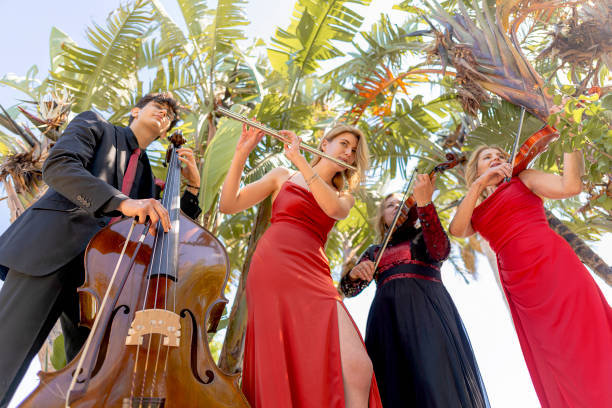 Three musicians in red dress and one musician in black suit under palm trees. Three musicians in red dress and one musician in black suit under palm trees. Music group playing violin, flute and double bass. Album cover. contra bassoon stock pictures, royalty-free photos & images