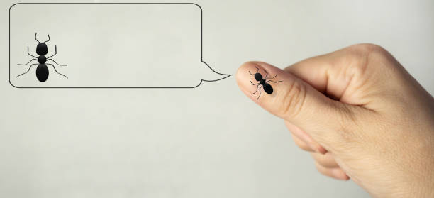 istock The ant crawls on the hand. Speech bubble. Place for text. 1488084987