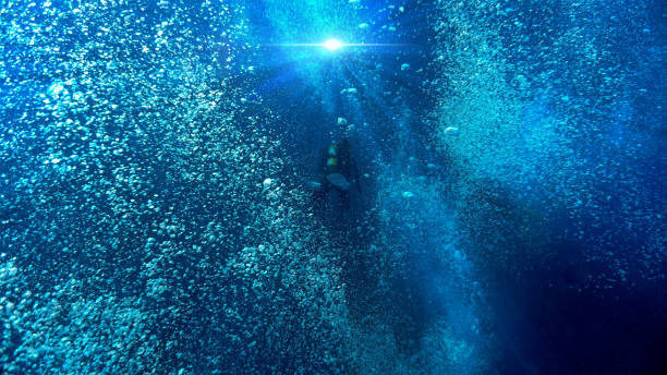 istock In a dreamlike underwater world and universe 1488088417