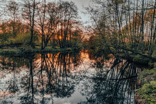 istock Spring sunset rural landscape, forest reflected in the lake 1488088697