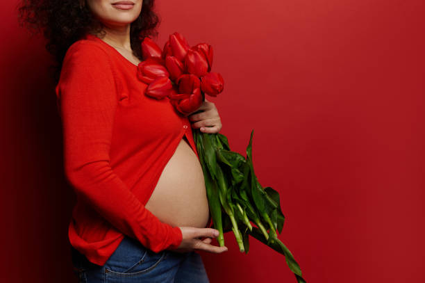 nahaufnahme eines schwangeren bauches mit dehnungsstreifen einer frau, werdende mutter posiert mit roten tulpen auf isoliertem hintergrund - mothers day mother single flower family stock-fotos und bilder
