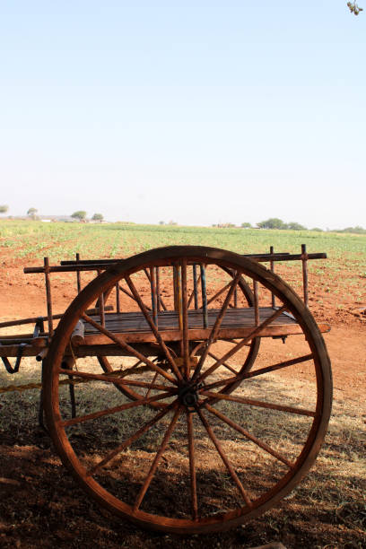 istock Empty Vintage Wagon Cart, Karnataka 1488101104