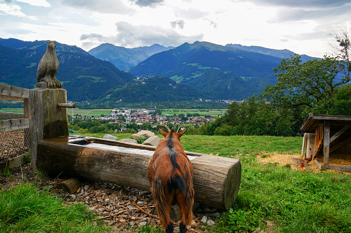 Landscape of Maienfeld, Switzerland