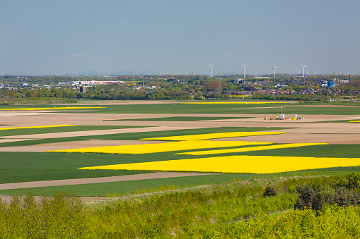Aerial view over yellow rape fields to lots of wind turbines