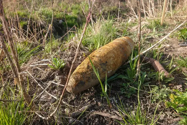 An unexploded shell from World War II found in a forest.