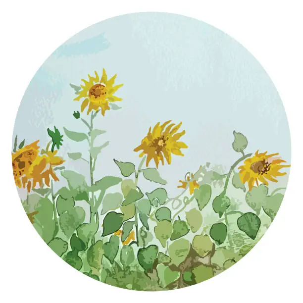 Vector illustration of Vector illustration of an aquarelle - beautiful sunflowers.