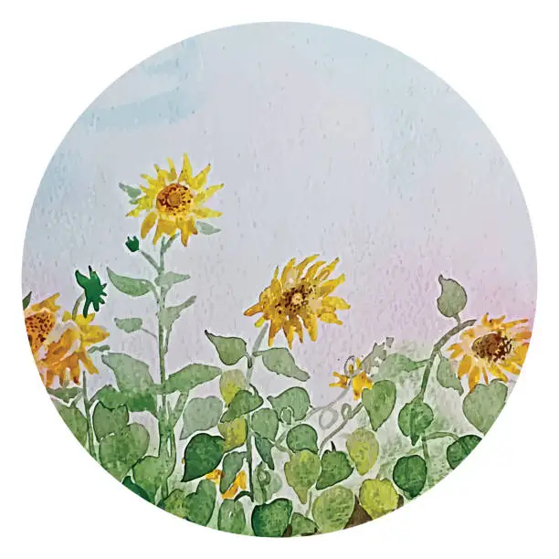 Vector illustration of Vector illustration of an aquarelle - beautiful sunflowers.