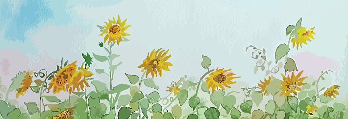 Aquarelle - sunflowers, blue sky, clouds. Watercolor landscape. Vector illustration.