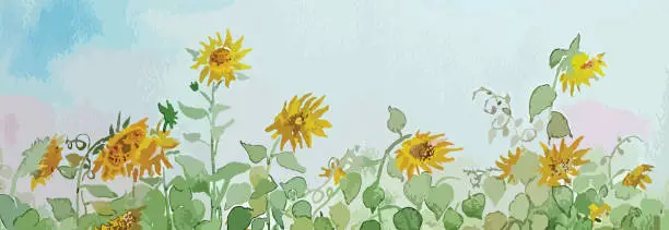 Vector illustration of Vector illustration of an aquarelle - beautiful sunflowers.