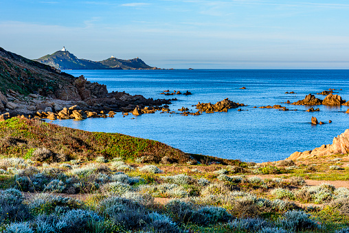 paysage du littoral de Corse du sud au printemps