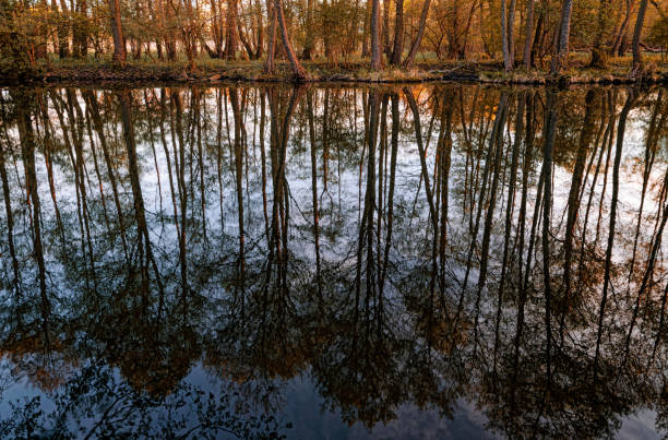 istock Spring sunset rural landscape, forest reflected in the lake 1488121917