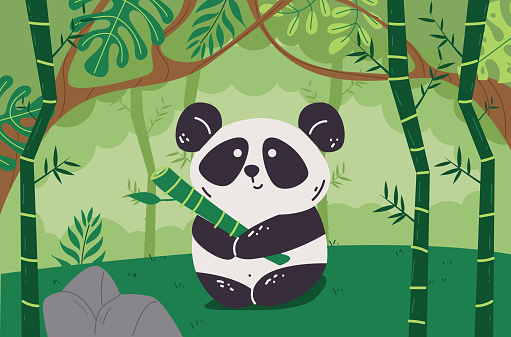 Bamboo panda bamboo forest jungle background concept. Vector graphic design