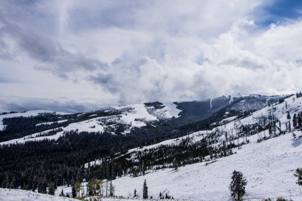 istock Yellowstone National Park 1488125703