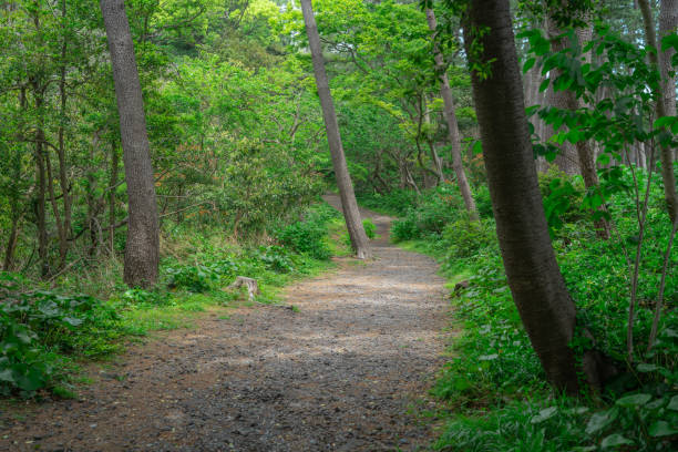 istock Beautiful garden scenery in Atami 1488126324