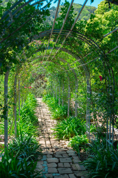 istock Beautiful garden scenery in Atami 1488127106