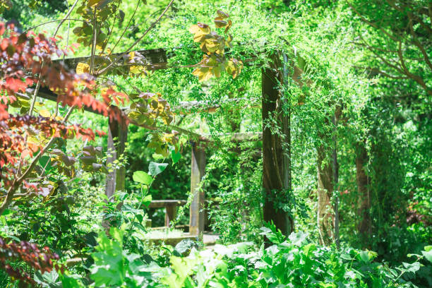 istock Beautiful garden scenery in Atami 1488127197