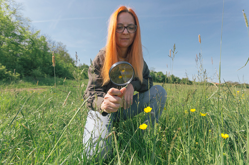 Female environmentalist looking wild flowers through magnifier glass outdoors on green grass meadow