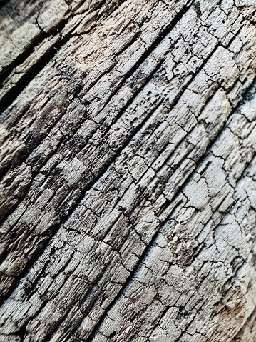 Close-up shot of a distressed wooden surface with visible cracks and wear, perfect for use in a variety of creative projects