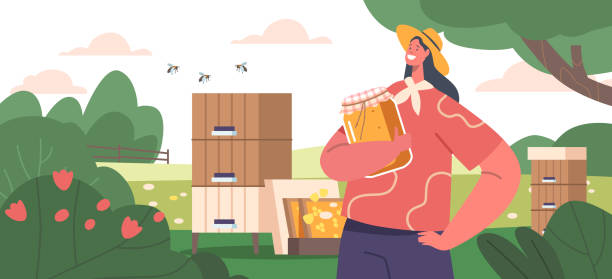 Female Character Holding Glass Jar with Fresh Flower Honey on the Meadow with Hives and Bees Flying around Female Character Holding Glass Jar with Fresh Flower Honey on the Meadow with Hives and Bees Flying around. Apiary Farm Healthy Product, Organic Natural Sweet Food Produce. Cartoon Vector Illustration woman beehive stock illustrations