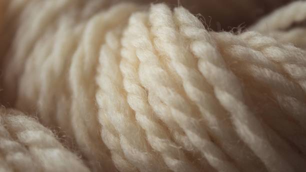 Hơn 2.800 Len Lông Cừu Merino Wool ảnh, hình chụp & hình ảnh trả phí bản quyền một lần sẵn có - iStock