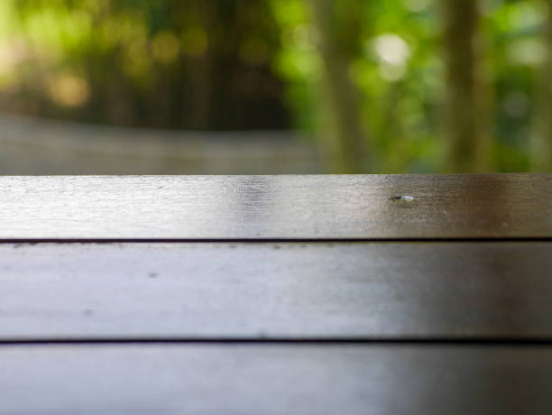istock end of wooden table against greenery background 1488135344