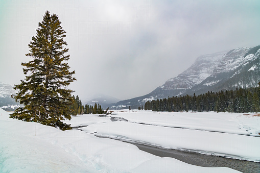 Scenic view of a round prairie spot covered with deep snow with river flowing through in Yellowstone Ecosystem in western USA, North America. Nearest cities are Denver, Colorado, Salt Lake City, Jackson, Wyoming, Gardiner, Cooke City, Bozeman and Billings, Montana.
