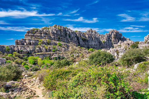 Karst landscape of Torcal de Antequera in Andalusia. Large valley with Mediterranean vegetation surrounded by vertical limestone rock walls