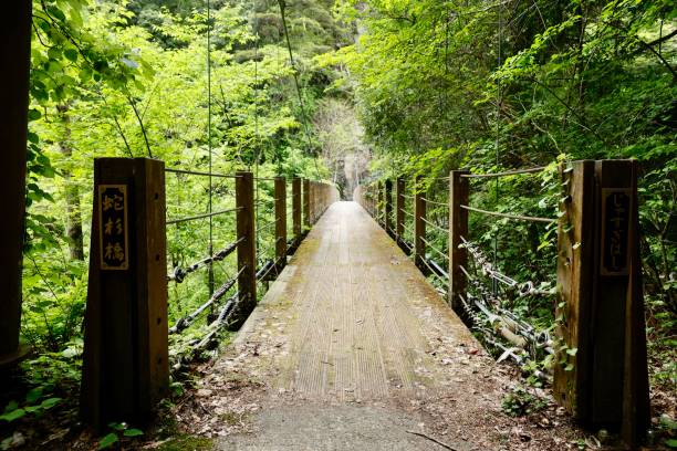 istock The Snake Cedar Bridge. Sandankyo Gorge in Hiroshima Prefecture, Japan. 1488144798