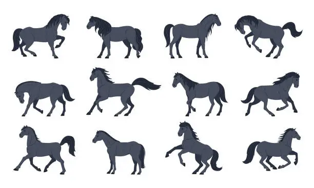 Vector illustration of Cartoon black horses. Domestic graceful animals, farm or ranch horses flat vector illustration set. Thoroughbred horses collection