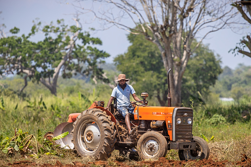 Tellula, Uva Province, Sri Lanka - February 14th 2023: Man on a small red tractor plowing a field on a organic farm