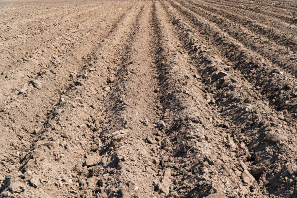 istock A beautifully plowed field. A plowed field in spring 1488149994