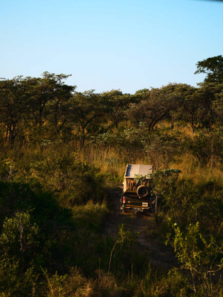 istock Safari Vehicle 1488150130