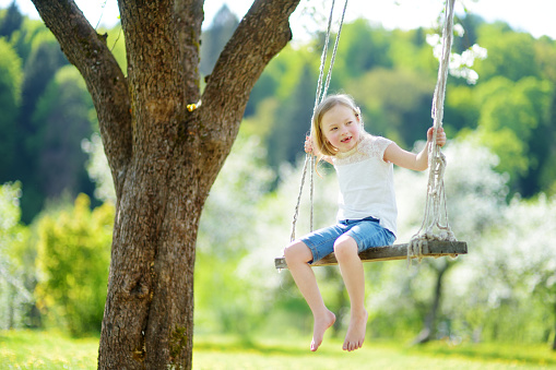 Cute little girl having fun on a swing in blossoming old apple tree garden outdoors on sunny spring day. Spring outdoor activities for kids.