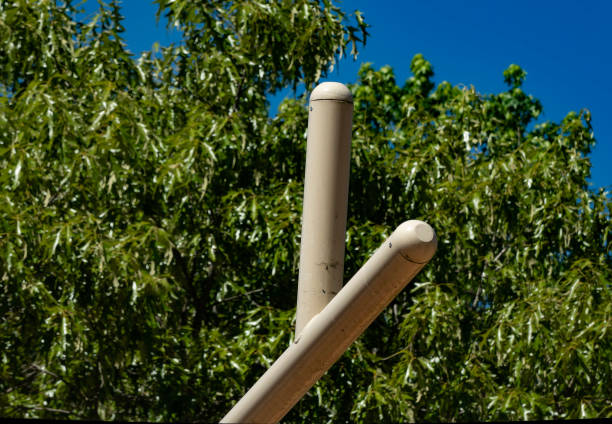 istock Two teisted poles reach to the tree tops 1488161122