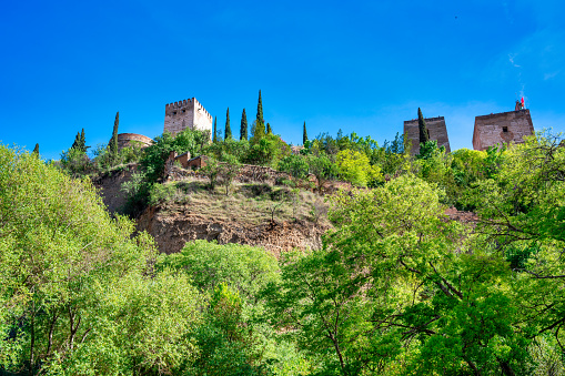 Ancient buildings of Granada surrounded by vegetation, Andalusia.