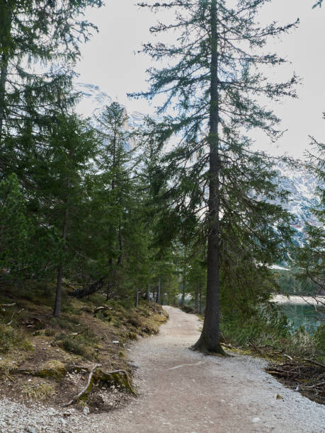 istock Climate change in  lake Braies 1488164005