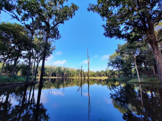 istock Perfect mirror image of nature 1488165275