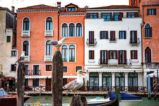 Colorful facades with vibrant colors and typical Venetian black and white wooden mooring pole in famous fishermen village on the island of Burano, Venice, Italy. Vessel and buildings reflecting in calm water. Beautiful poster like travel and tourism background on a sunny day with copy space.