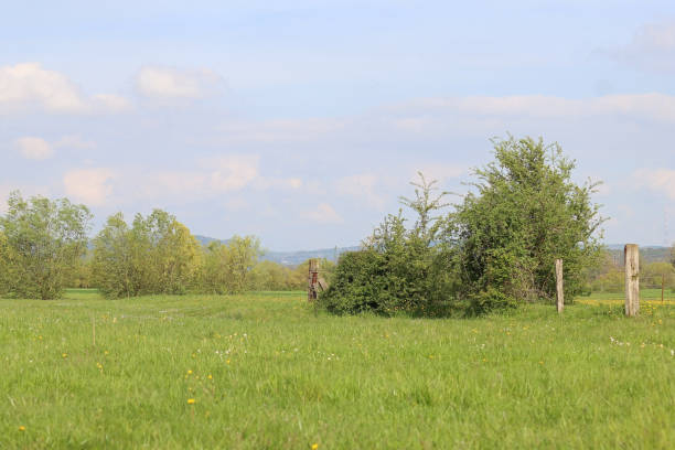 istock A fence corner in the pasture. 1488170414