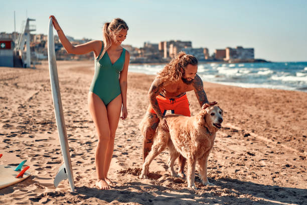 kilka surferów na plaży - surfing sport extreme sports success zdjęcia i obrazy z banku zdjęć