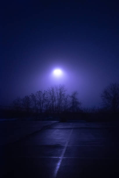 eerie blue light over wet parking lot in fog - street light parking lot night lot imagens e fotografias de stock